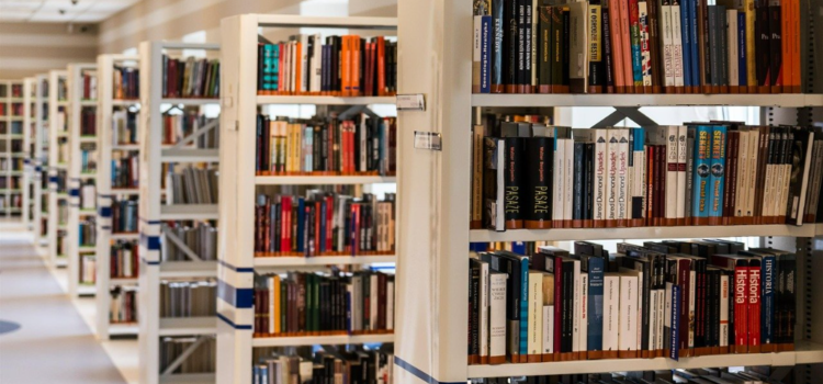 11 février 2021, webinaire d’échanges à destination des bibliothèques