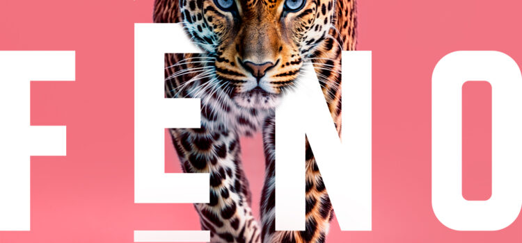 Rouen, Du 17 au 19 octobre 2025, Fêno, le Festival de la Normandie